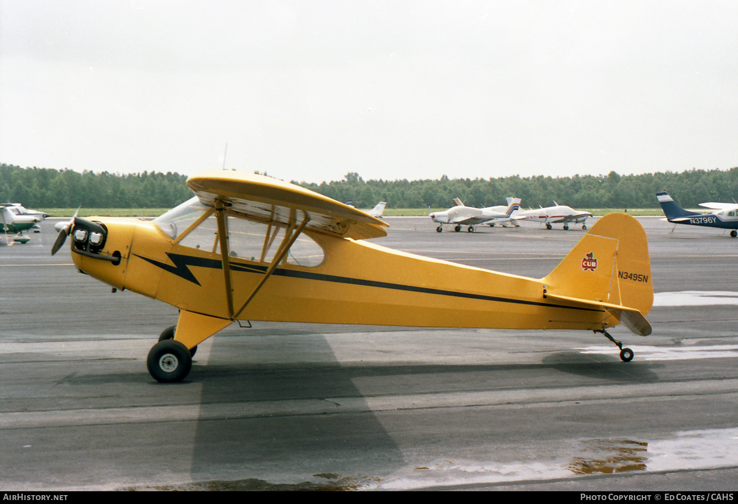 Aircraft Photo of N3495N | Piper J-3C-65 Cub | AirHistory.net #184138