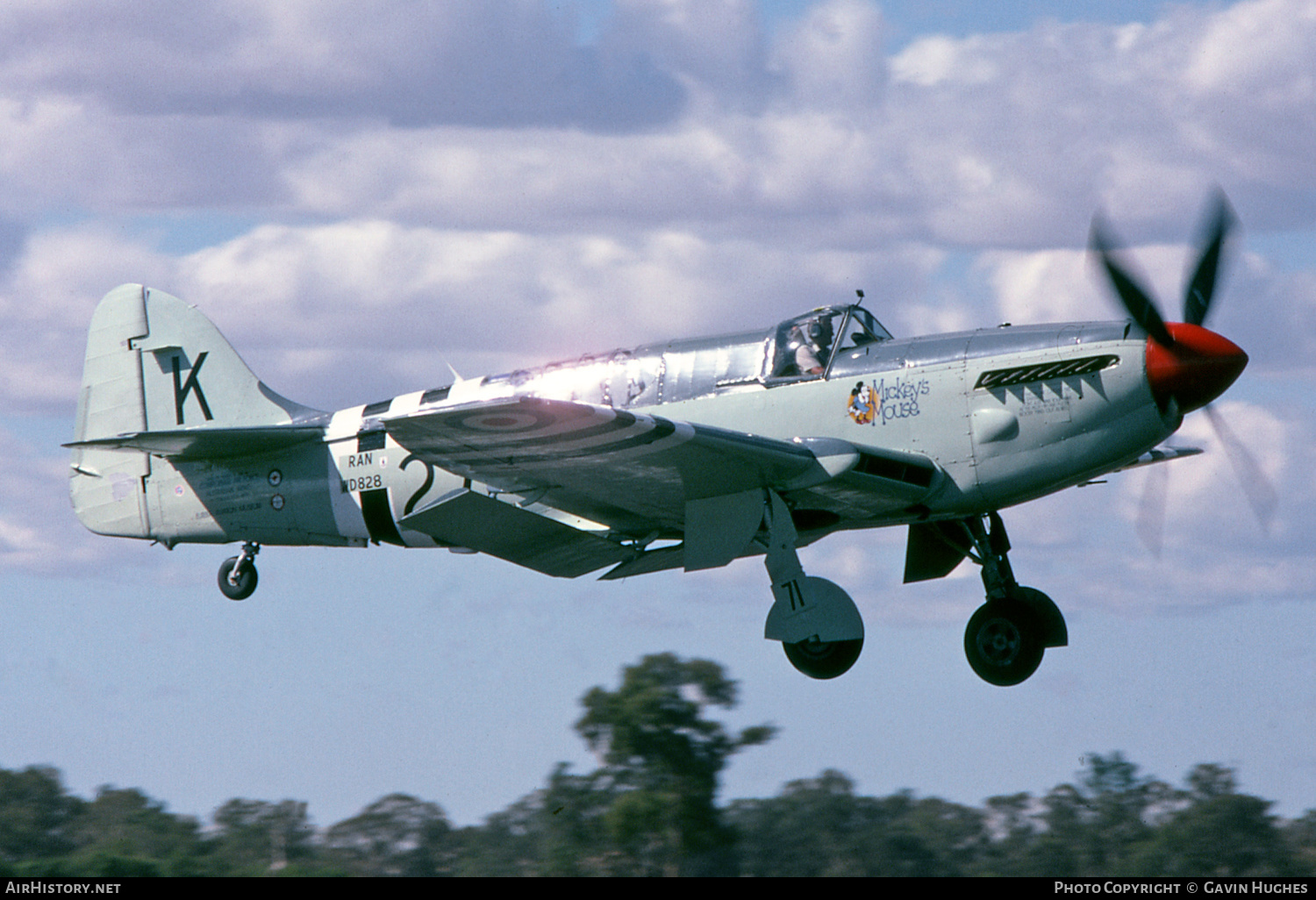 Aircraft Photo of VH-HMW / WD828 | Fairey Firefly AS6 | Australia - Navy | AirHistory.net #184922