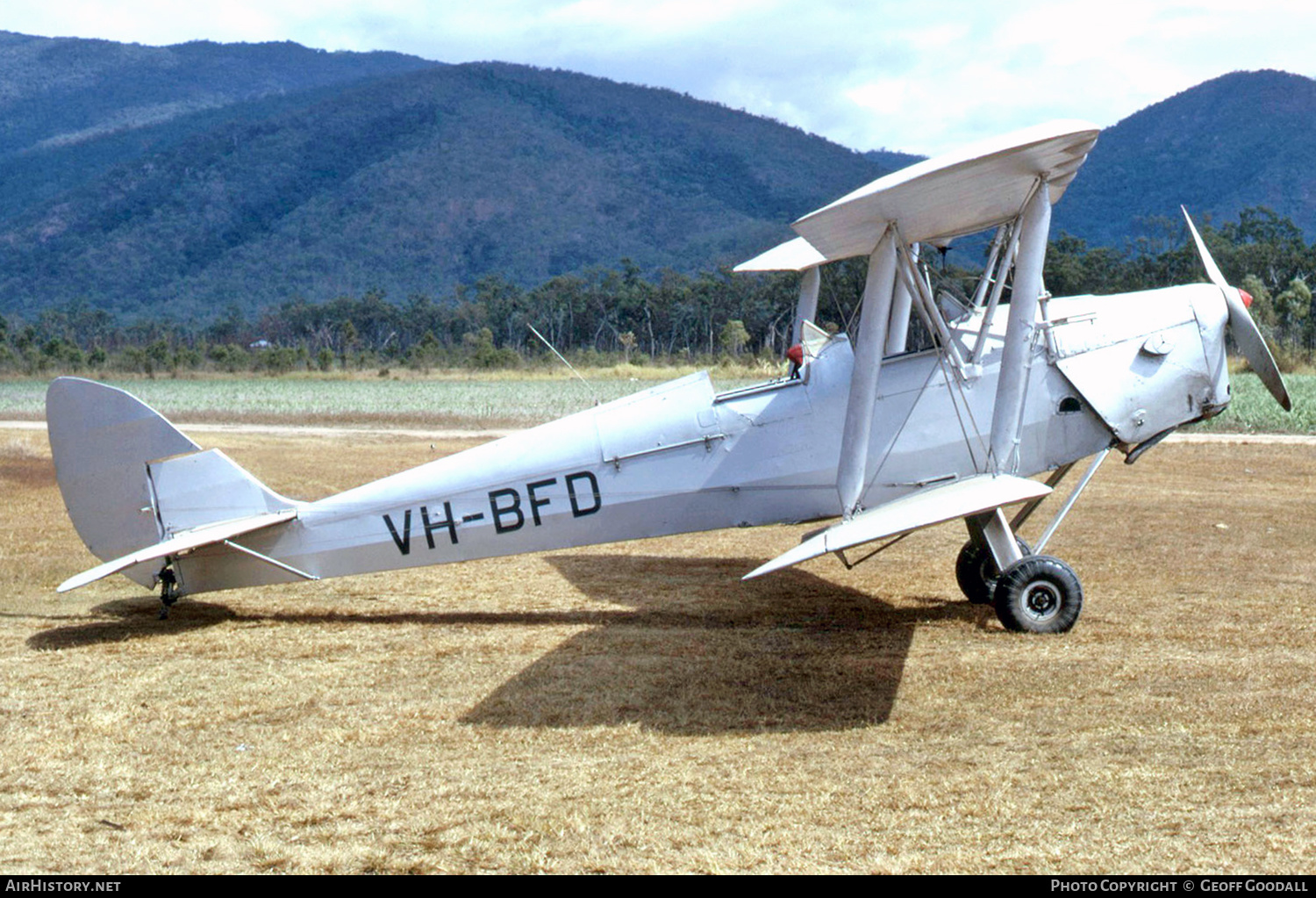 Aircraft Photo of VH-BFD | De Havilland D.H. 82A Tiger Moth | AirHistory.net #185287