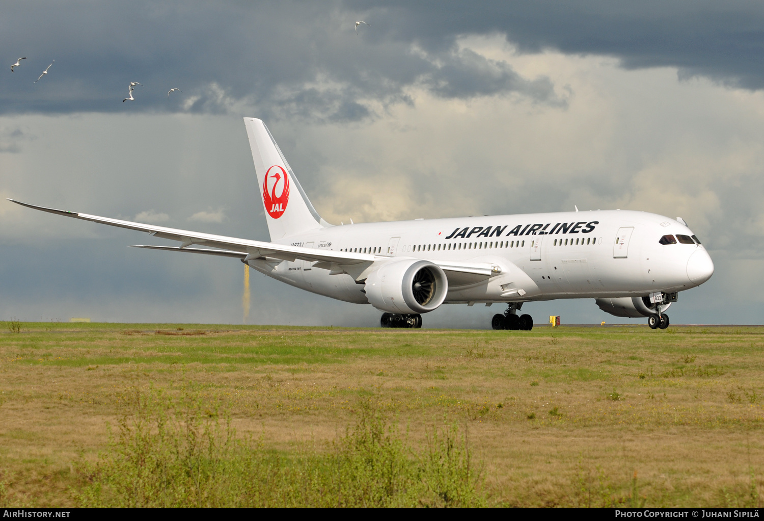 Aircraft Photo of JA833J | Boeing 787-8 Dreamliner | Japan Airlines - JAL | AirHistory.net #186216