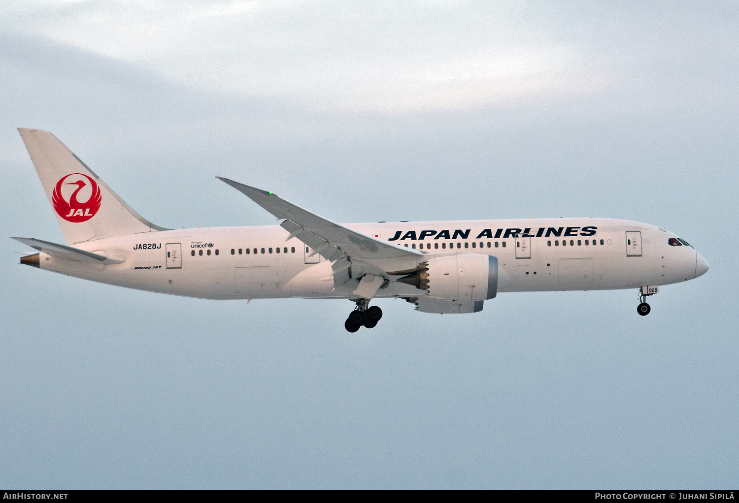 Aircraft Photo of JA828J | Boeing 787-8 Dreamliner | Japan Airlines - JAL | AirHistory.net #186239