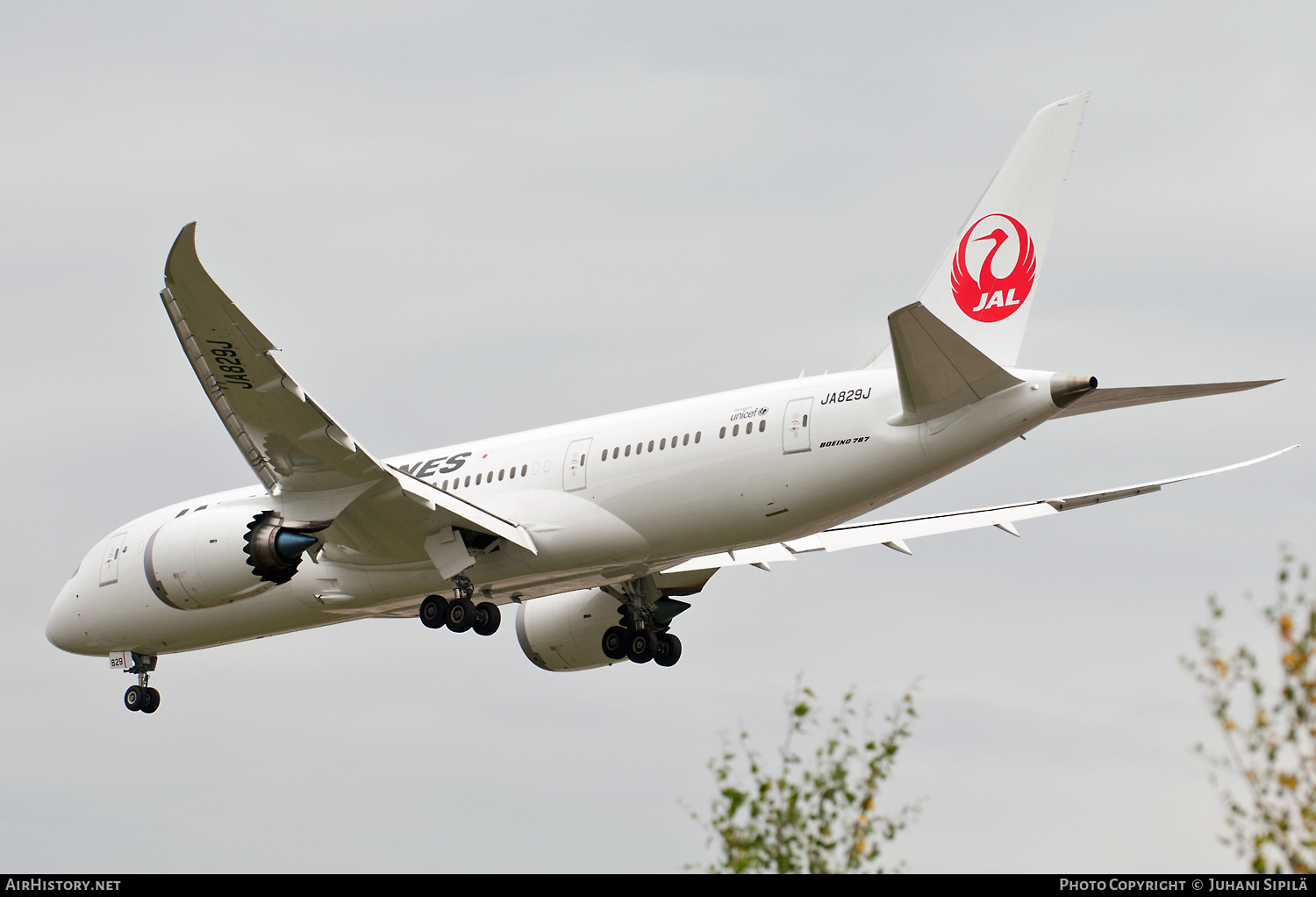 Aircraft Photo of JA829J | Boeing 787-8 Dreamliner | Japan Airlines - JAL | AirHistory.net #186257