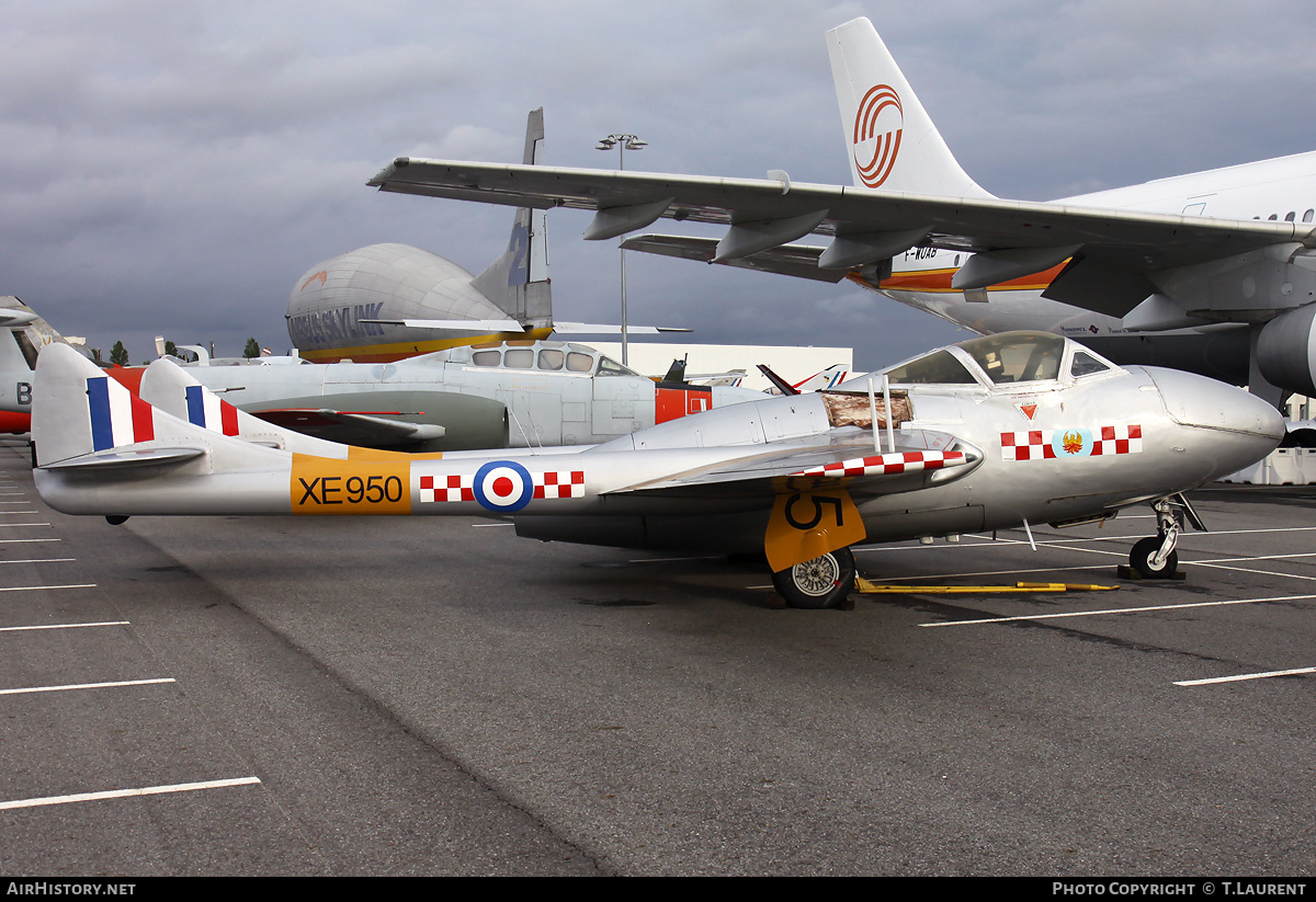 Aircraft Photo of XE950 | De Havilland D.H. 115 Vampire T11 | UK - Air Force | AirHistory.net #190063