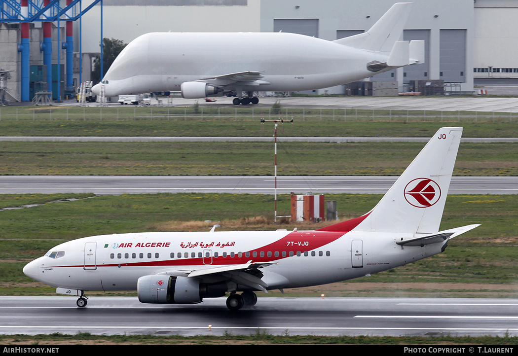 Aircraft Photo of 7T-VJQ | Boeing 737-6D6 | Air Algérie | AirHistory.net #192102