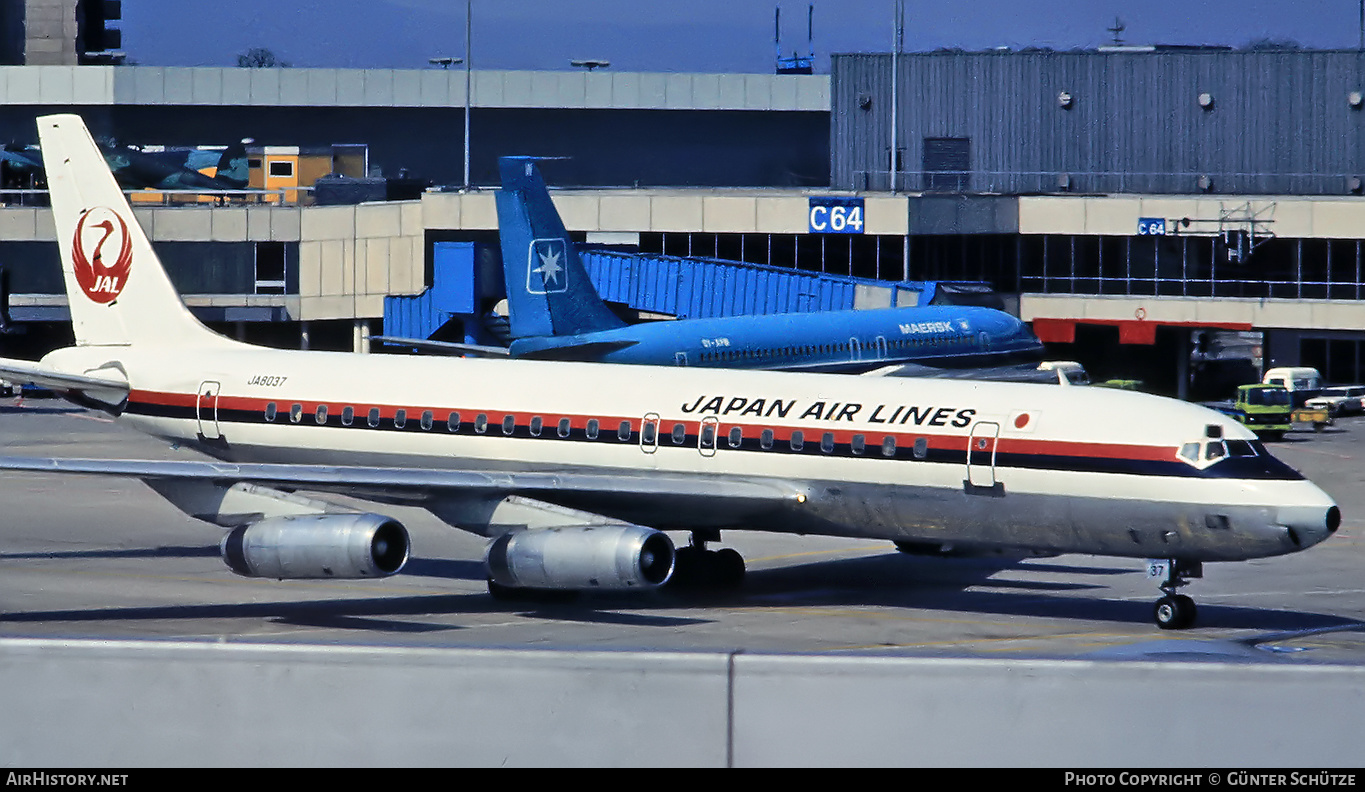Aircraft Photo of JA8037 | McDonnell Douglas DC-8-62 | Japan Air Lines - JAL | AirHistory.net #196653