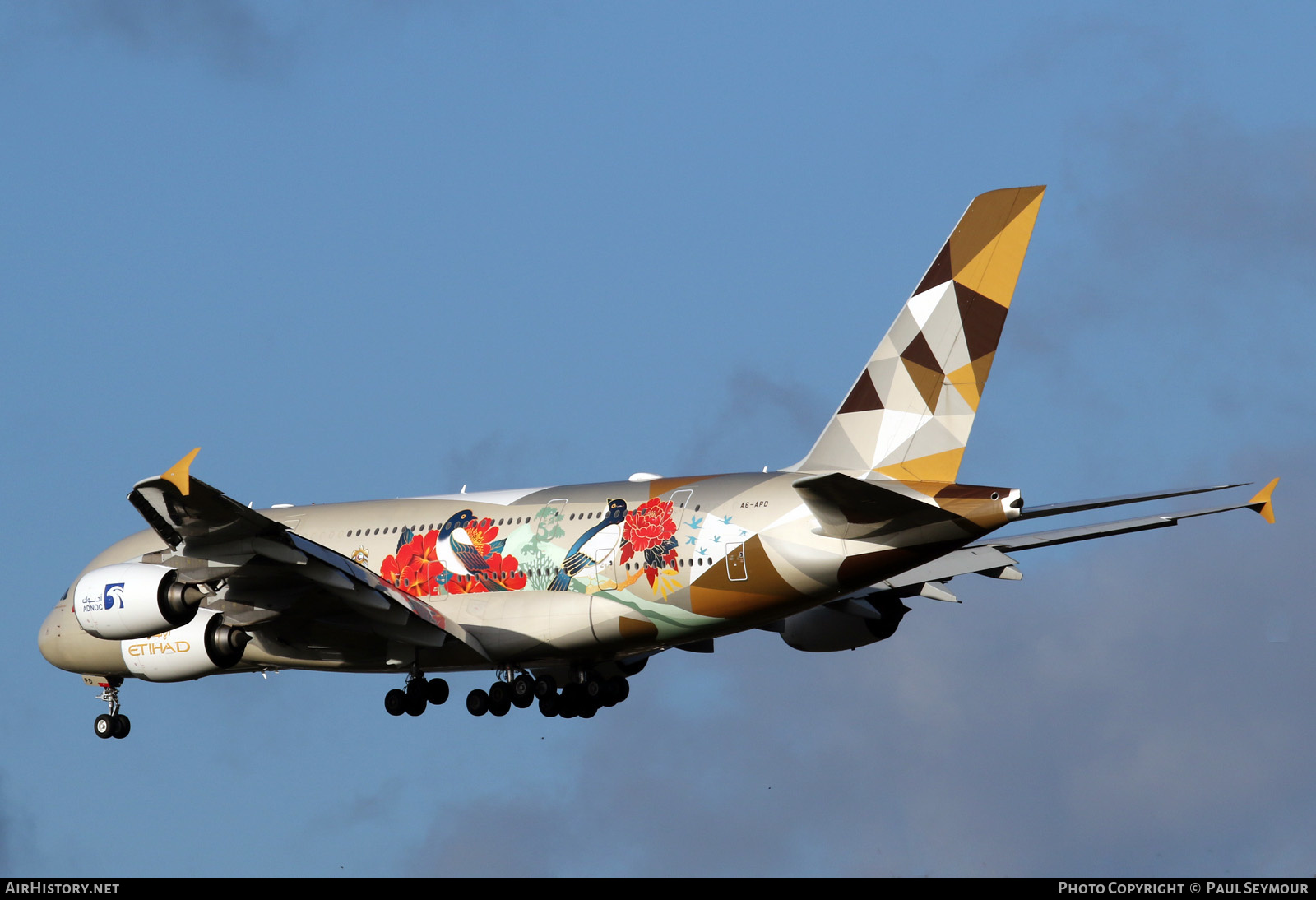 Aircraft Photo of A6-APD | Airbus A380-861 | Etihad Airways | AirHistory.net #198814