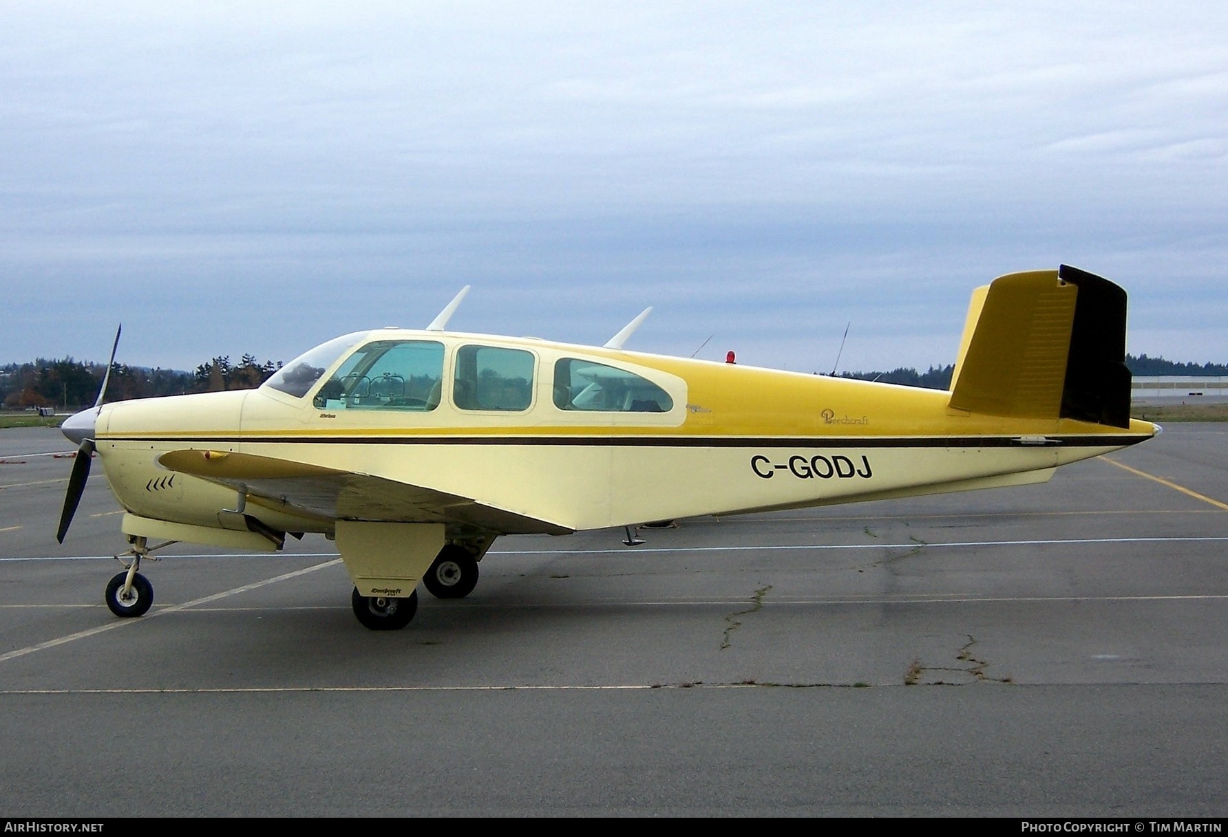 Aircraft Photo of C-GODJ | Beech P35 Bonanza | AirHistory.net #199190