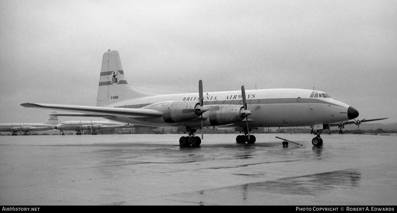 Aircraft Photo of G-ANBB | Bristol 175 Britannia 102 | Britannia Airways | AirHistory.net #199696