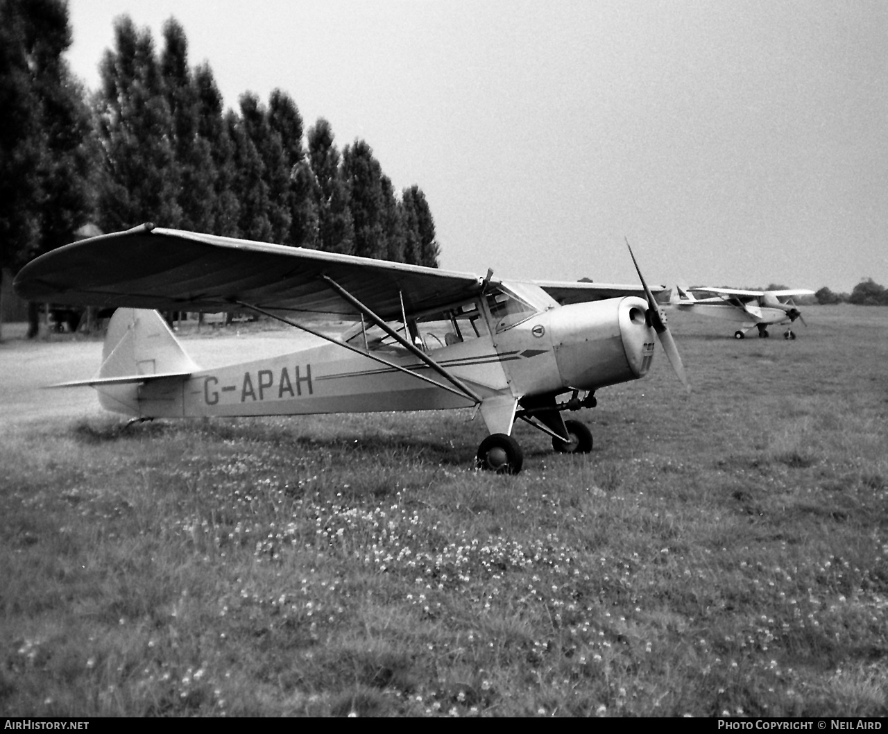 Aircraft Photo of G-APAH | Auster 5 | AirHistory.net #199714
