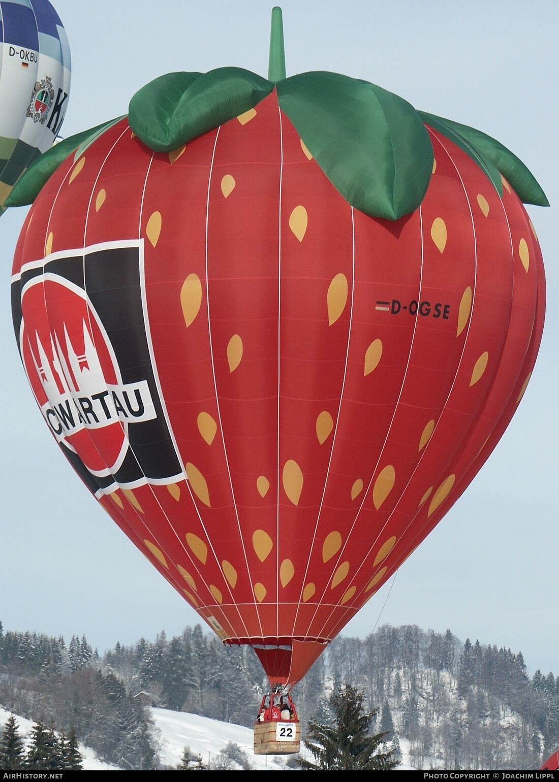 Aircraft Photo of D-OGSE | Schroeder Fire Balloon Strawberry SS | AirHistory.net #202340