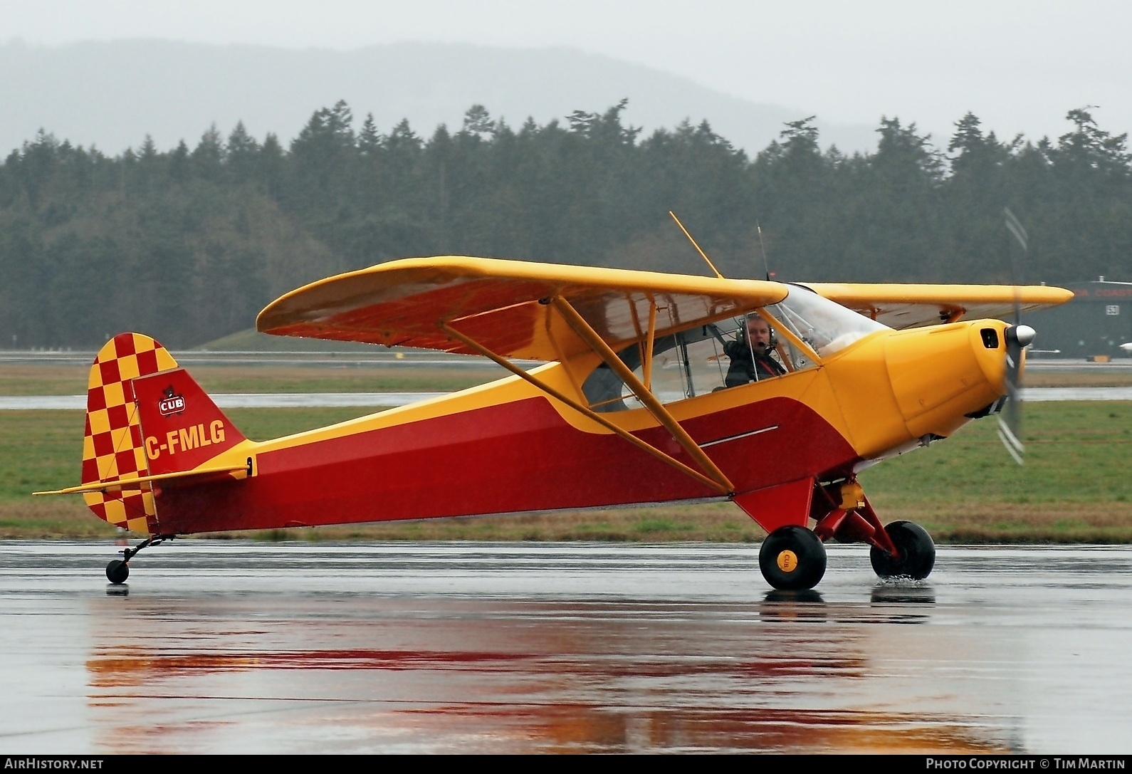 Aircraft Photo of C-FMLG | Piper J-3C-65 Cub | AirHistory.net #204011