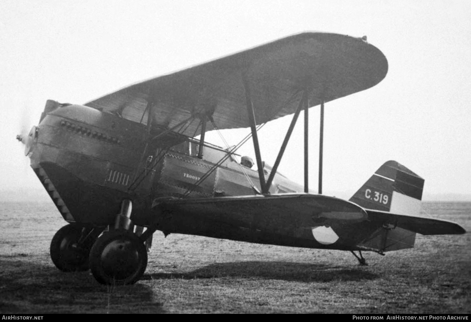 Aircraft Photo of C-319 | Curtiss P-6 Hawk I | Netherlands East Indies - Air Force | AirHistory.net #204893