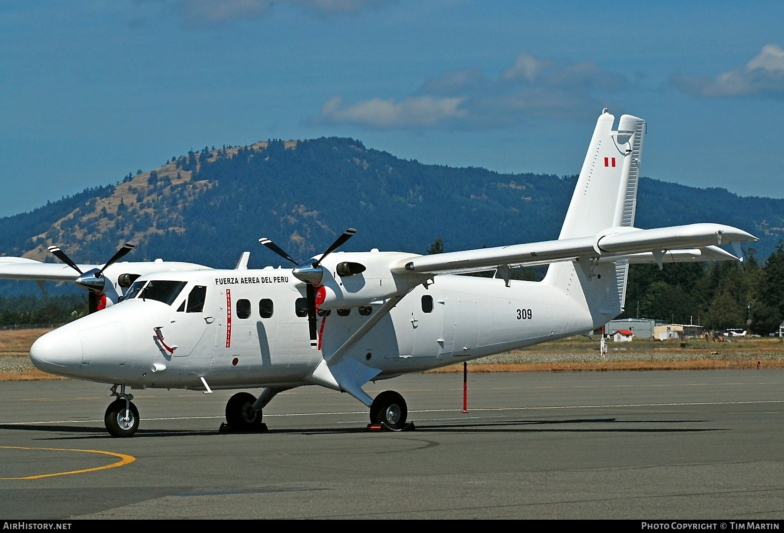 Aircraft Photo of 309 | Viking DHC-6-400 Twin Otter | Peru - Air Force | AirHistory.net #206062