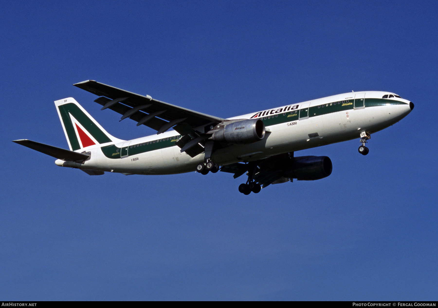 Aircraft Photo of I-BUSH | Airbus A300B4-203 | Alitalia | AirHistory.net #206317