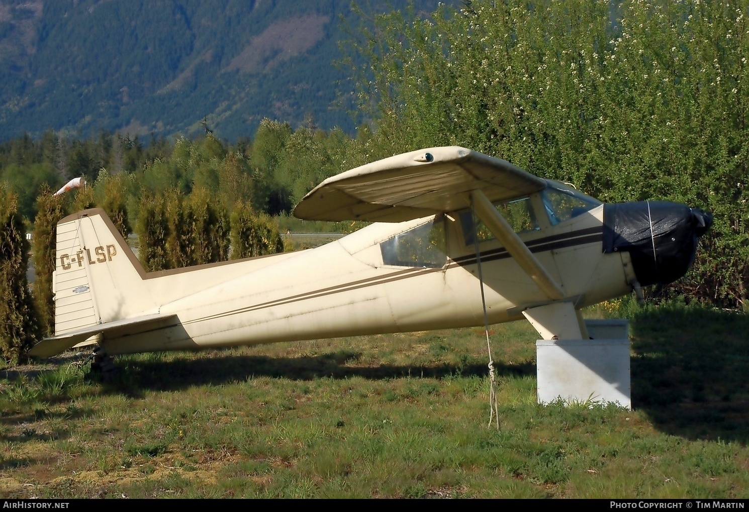 Aircraft Photo of C-FLSP | Luscombe T8F Silvaire | AirHistory.net #207203