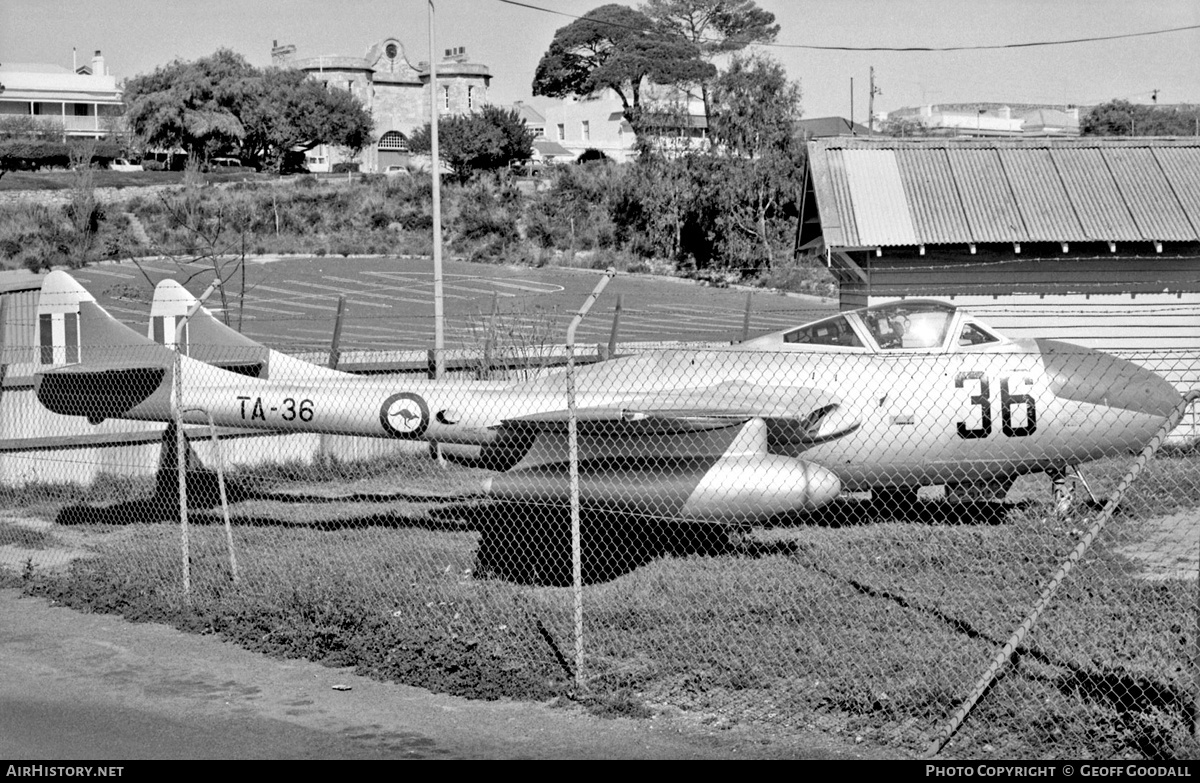 Aircraft Photo of A79-664 | De Havilland D.H. 115 Vampire T35 | Australia - Air Force | AirHistory.net #208106