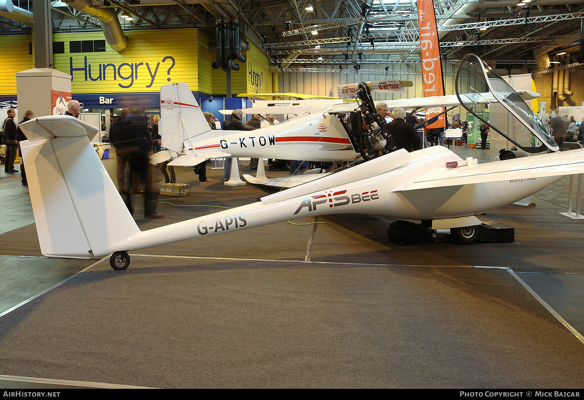 Aircraft Photo of G-APIS | Pipistrel Apis 15M | AirHistory.net #209156