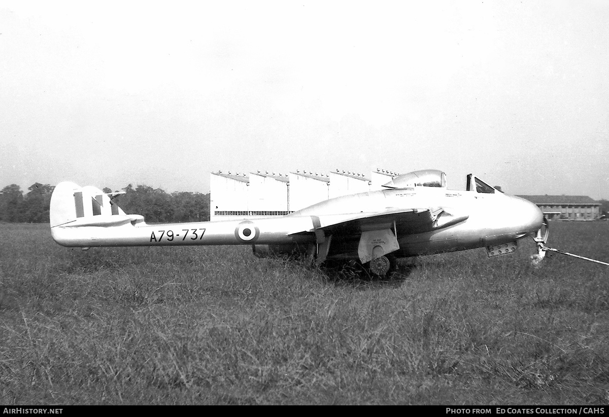 Aircraft Photo of A79-737 | De Havilland D.H. 100 Vampire F30 | Australia - Air Force | AirHistory.net #209911