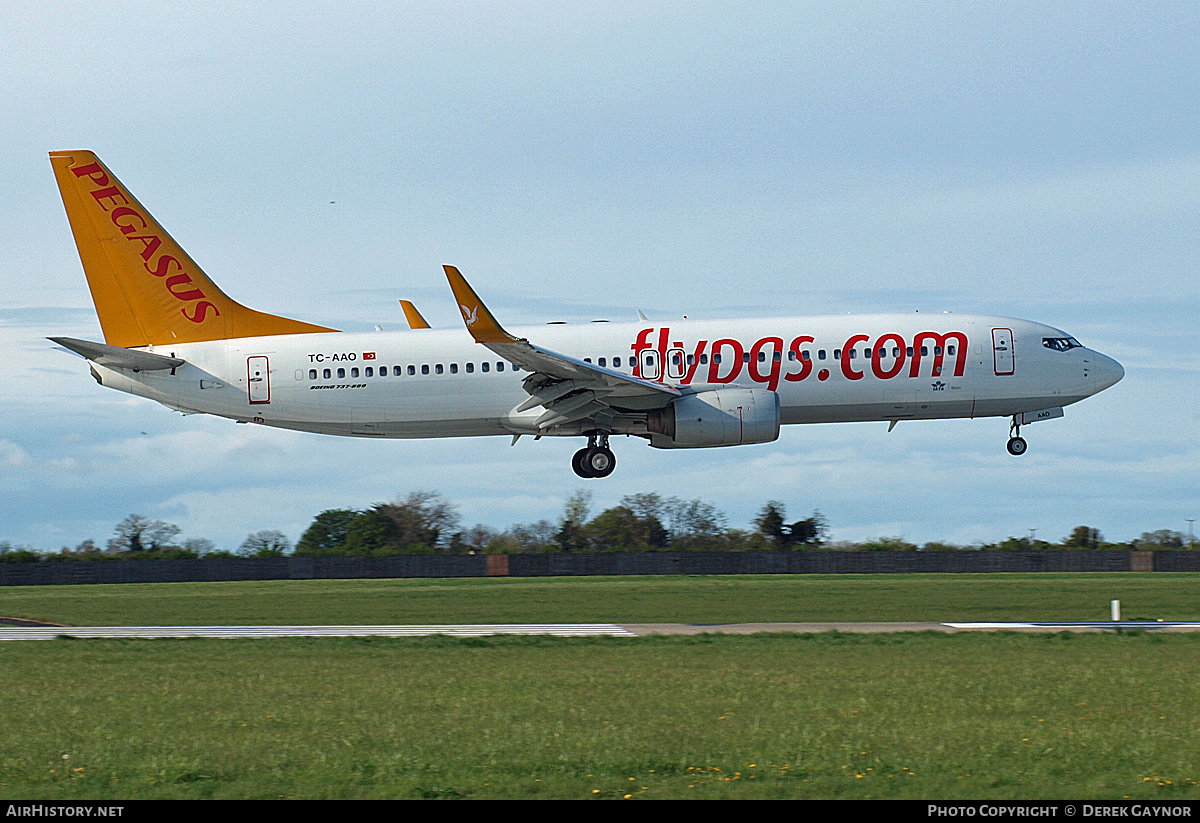 Aircraft Photo of TC-AAO | Boeing 737-86N | Pegasus Airlines | AirHistory.net #211530