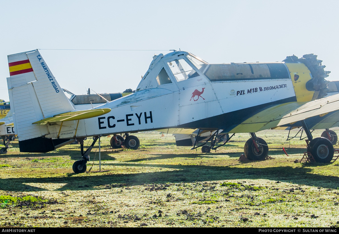 Aircraft Photo of EC-EYH | PZL-Mielec M-18B Dromader | Martínez Ridao Aviación | AirHistory.net #212210