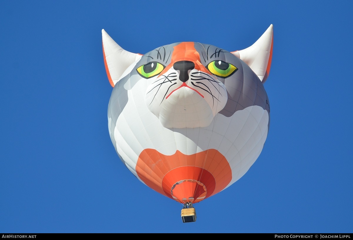 Aircraft Photo of D-OYPS | Schroeder Fire Balloon Cat SS | AirHistory.net #212239