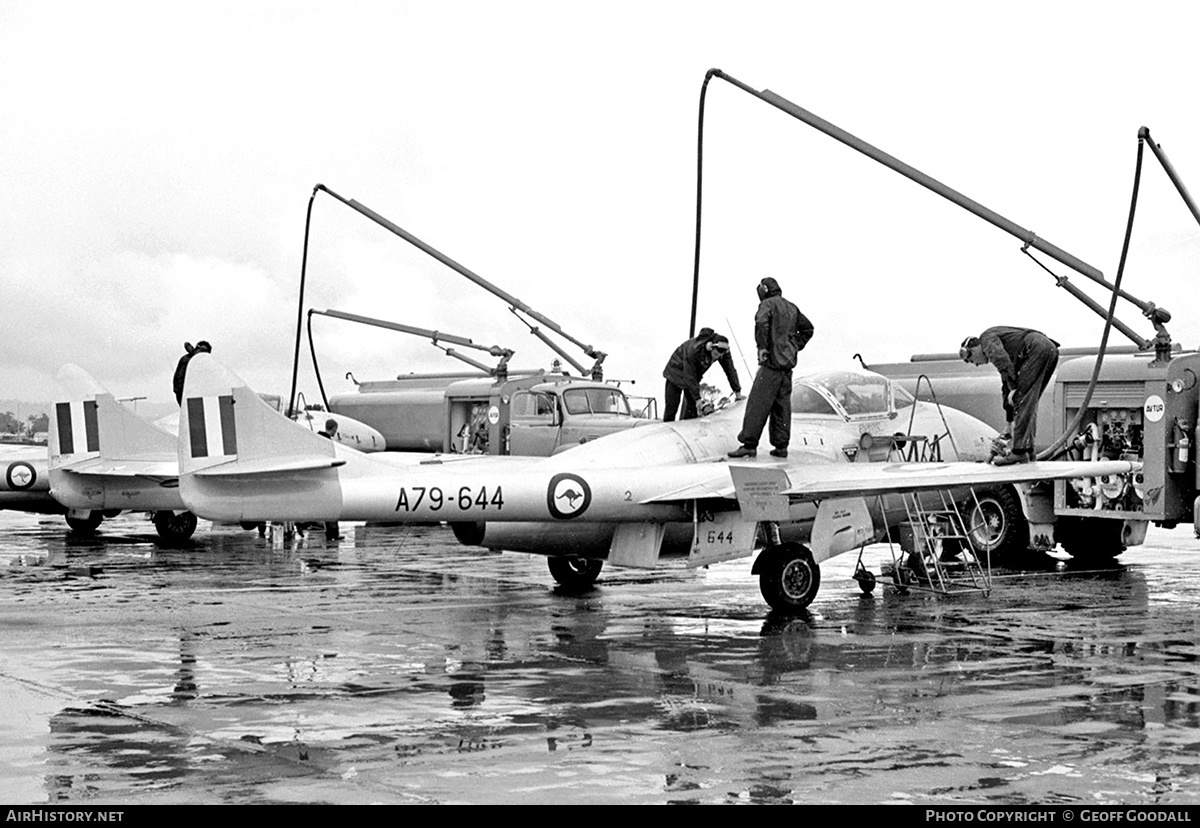 Aircraft Photo of A79-644 | De Havilland D.H. 115 Vampire T35 | Australia - Air Force | AirHistory.net #215517
