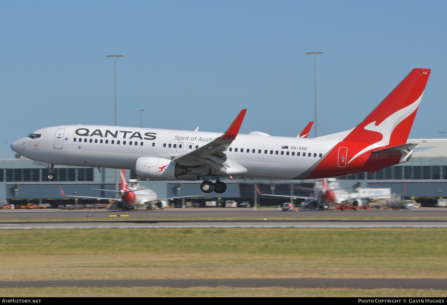 Aircraft Photo of VH-VXD | Boeing 737-838 | Qantas | AirHistory.net #215537