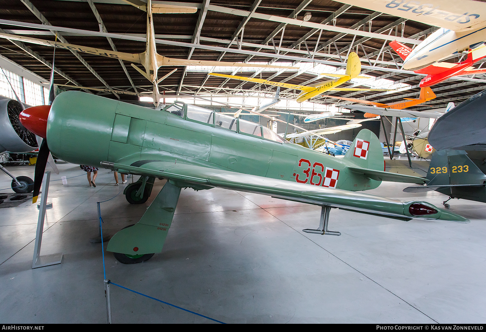 Aircraft Photo of 36 | Yakovlev Yak-11 | Poland - Air Force | AirHistory.net #216470