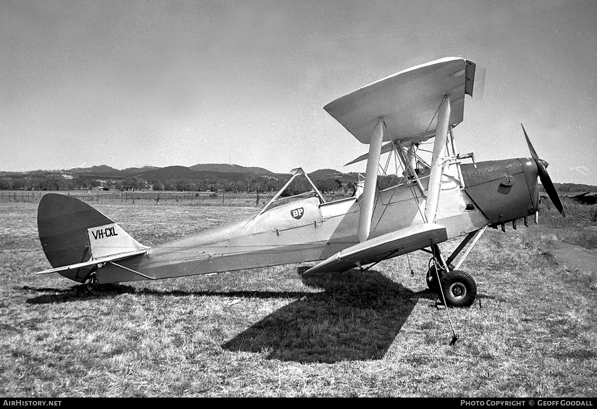 Aircraft Photo of VH-CXL | De Havilland D.H. 82A Tiger Moth | AirHistory.net #217504