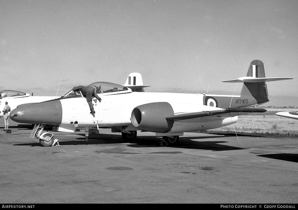 Aircraft Photo of A77-873 | Gloster Meteor U21A | Australia - Air Force | AirHistory.net #217536