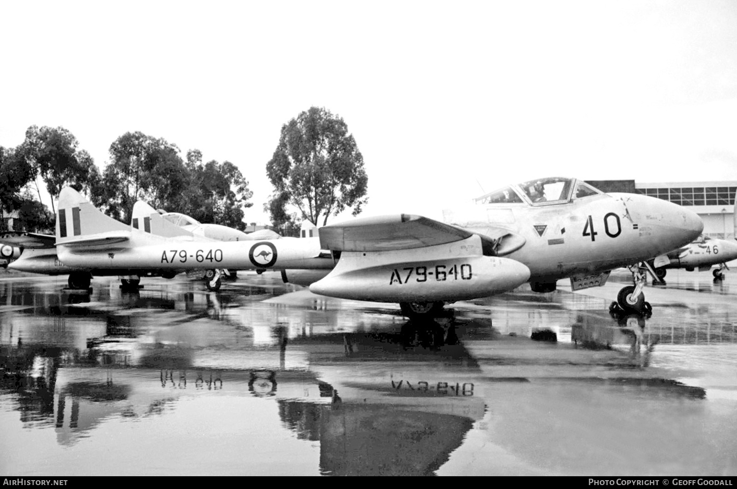 Aircraft Photo of A79-640 | De Havilland D.H. 115 Vampire T35 | Australia - Air Force | AirHistory.net #219174