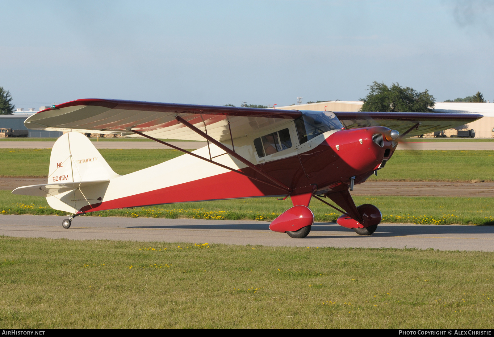 Aircraft Photo of N5045M / NC5045M | Taylorcraft BC12-D | AirHistory.net #221106