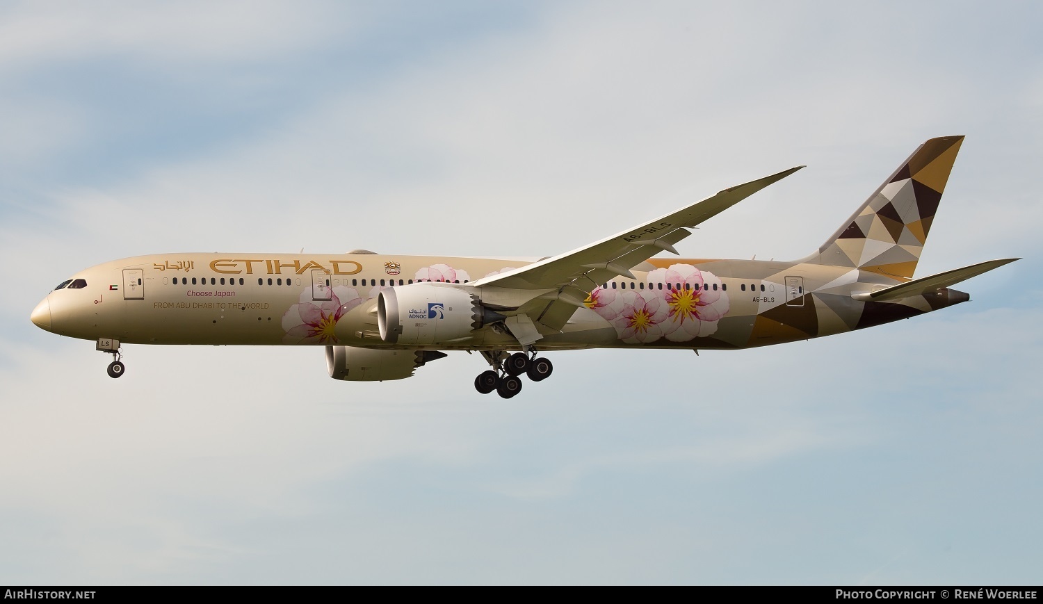 Aircraft Photo of A6-BLS | Boeing 787-9 Dreamliner | Etihad Airways | AirHistory.net #223417