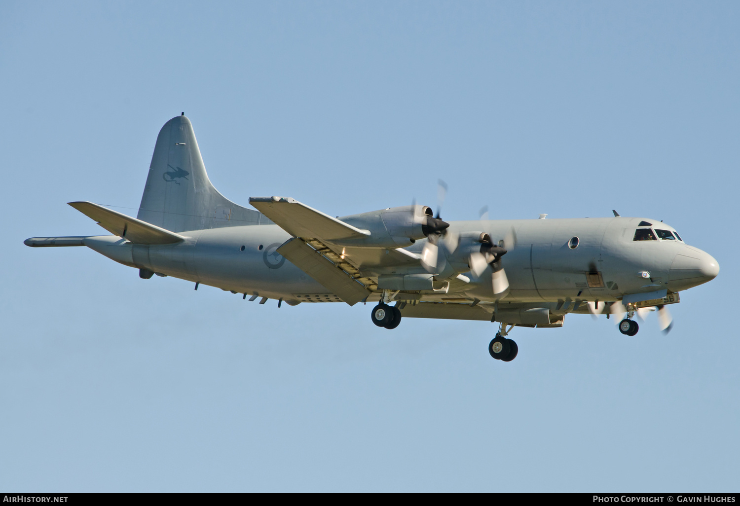 Aircraft Photo of A9-656 | Lockheed P-3C Orion | Australia - Air Force | AirHistory.net #224990