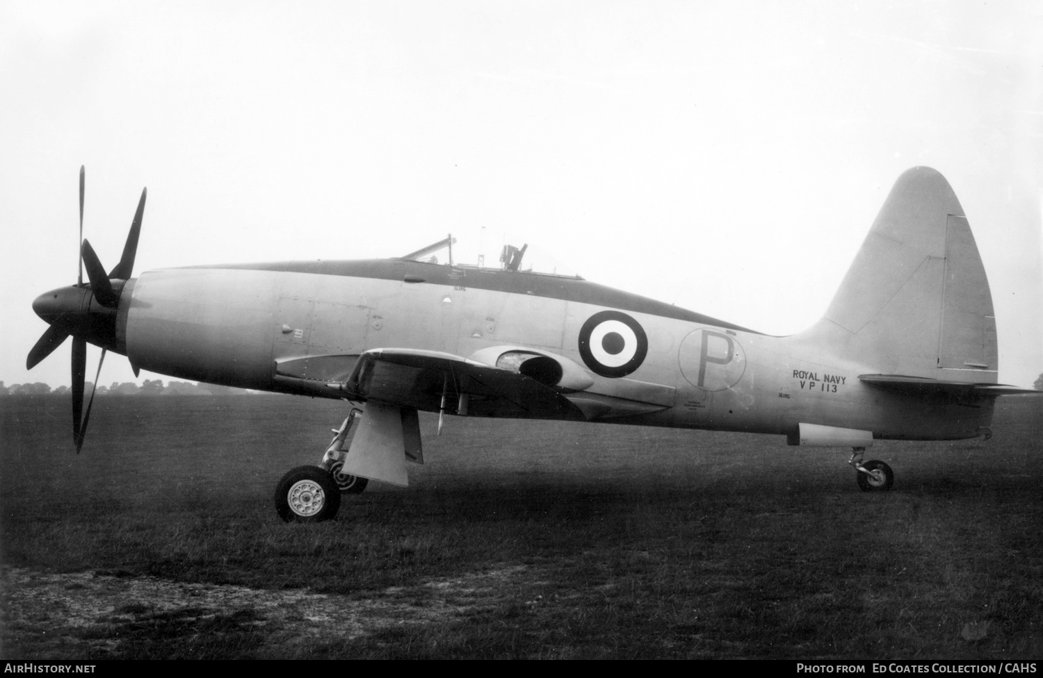 Aircraft Photo of VP113 | Westland Wyvern TF2 | UK - Navy | AirHistory.net #226256