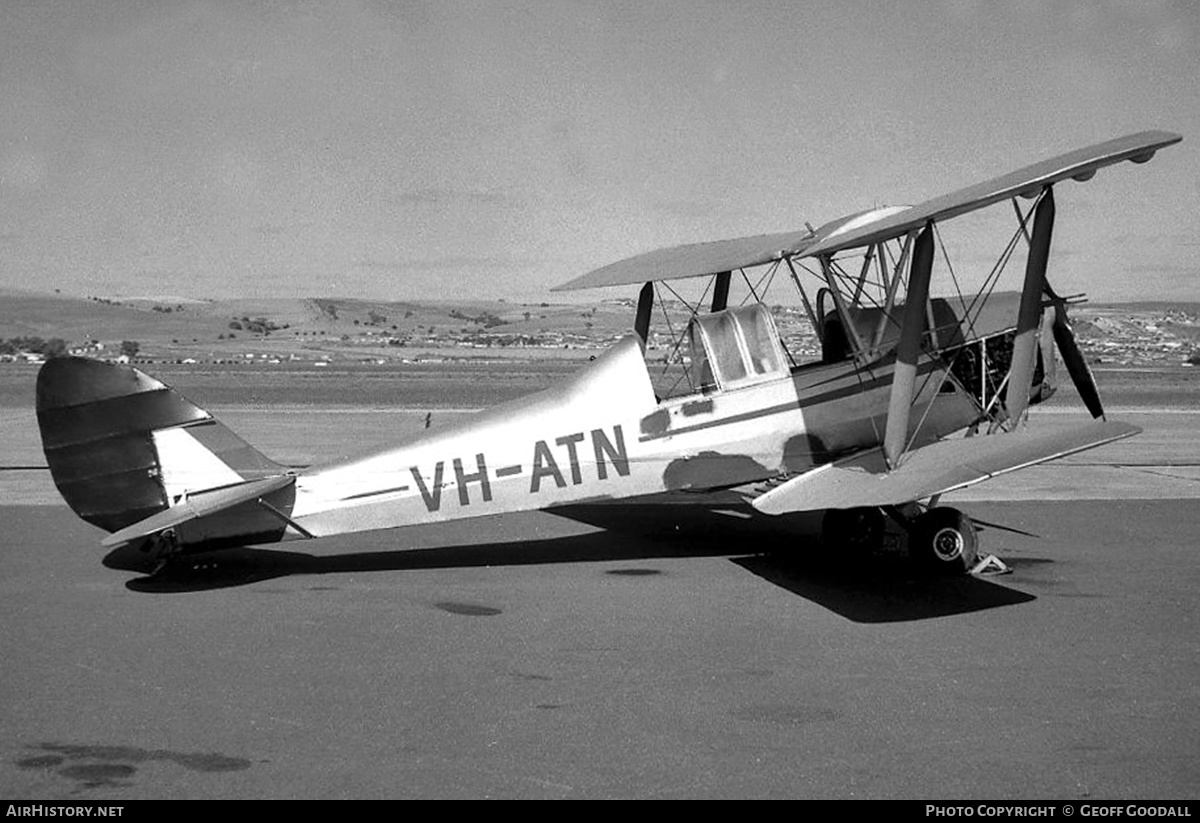 Aircraft Photo of VH-ATN | De Havilland D.H. 82A Tiger Moth | AirHistory.net #228738