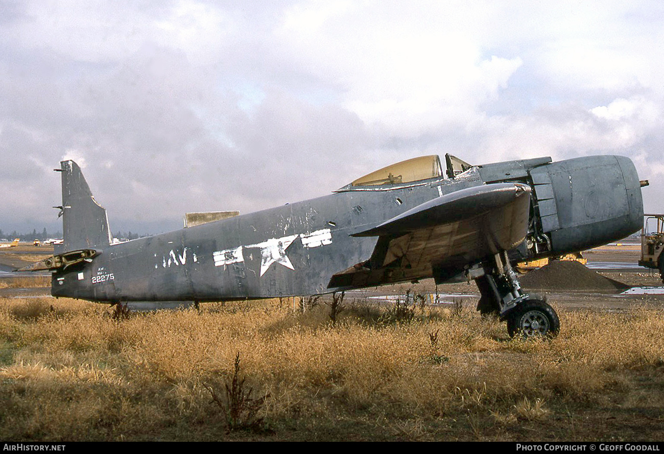 Aircraft Photo of N7163M / 22275 | Martin AM-1 Mauler | USA - Navy | AirHistory.net #233917