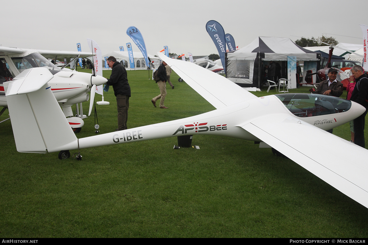 Aircraft Photo of G-IBEE | Pipistrel Apis | AirHistory.net #237373