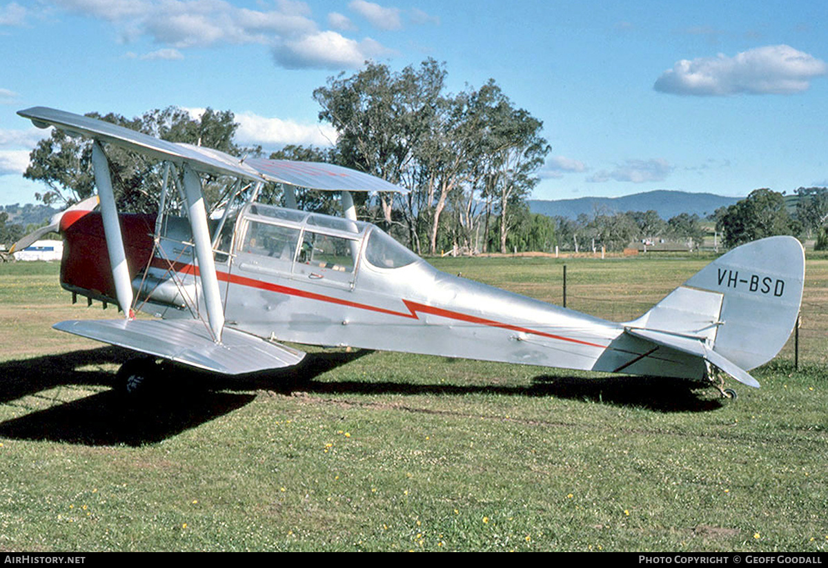 Aircraft Photo of VH-BSD | De Havilland D.H. 82A Tiger Moth | AirHistory.net #237654