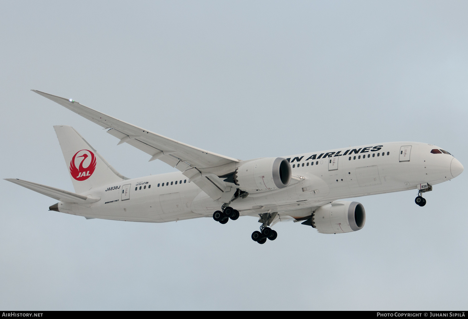 Aircraft Photo of JA838J | Boeing 787-8 Dreamliner | Japan Airlines - JAL | AirHistory.net #238861