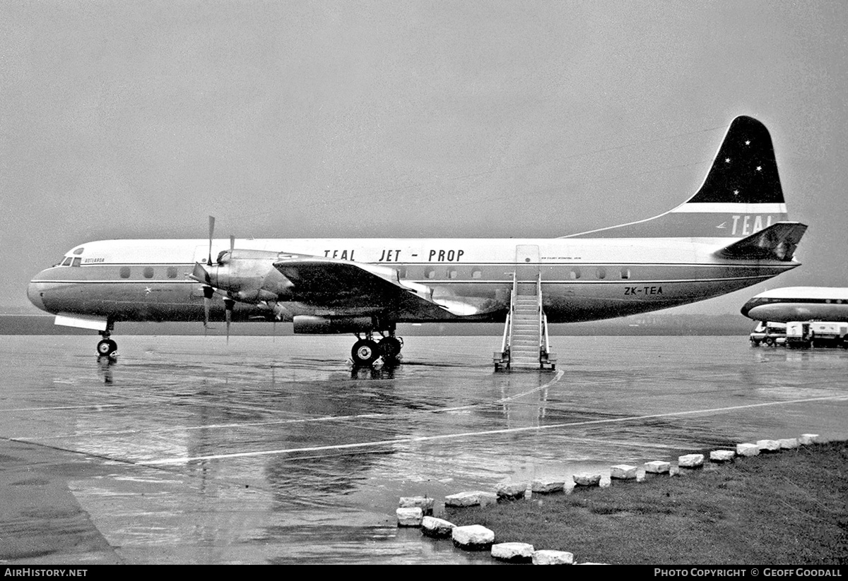 Aircraft Photo of ZK-TEA | Lockheed L-188C Electra | TEAL - Tasman Empire Airways | AirHistory.net #240441
