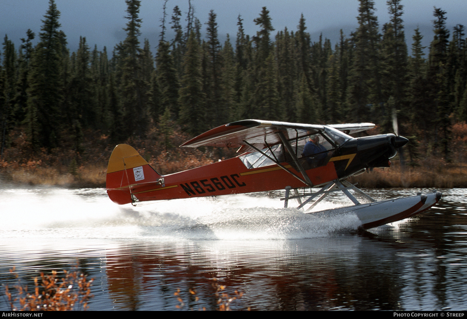 Aircraft Photo of N8560C | Piper PA-18 Super Cub | Ray Atkins Fly Inn | AirHistory.net #240648