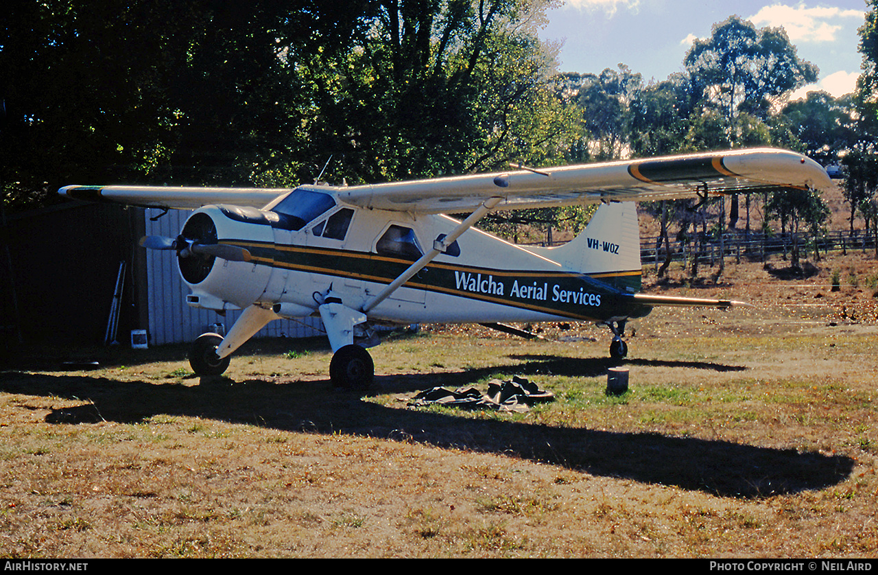 Aircraft Photo of VH-WOZ | De Havilland Canada DHC-2 Beaver Mk.1 | Walcha Aerial Services | AirHistory.net #242500