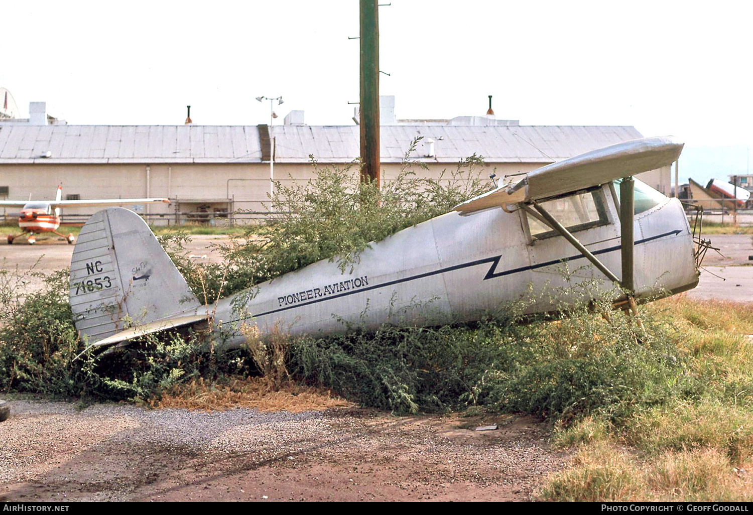 Aircraft Photo of N71853 / NC71853 | Luscombe 8A Silvaire | Pioneer Aviation | AirHistory.net #243639