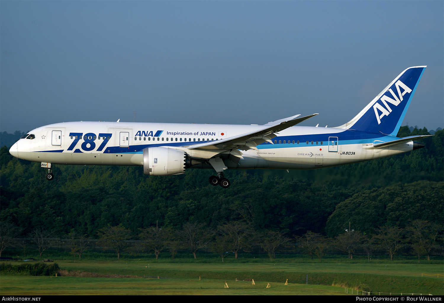 Aircraft Photo of JA803A | Boeing 787-8 Dreamliner | All Nippon Airways - ANA | AirHistory.net #244891