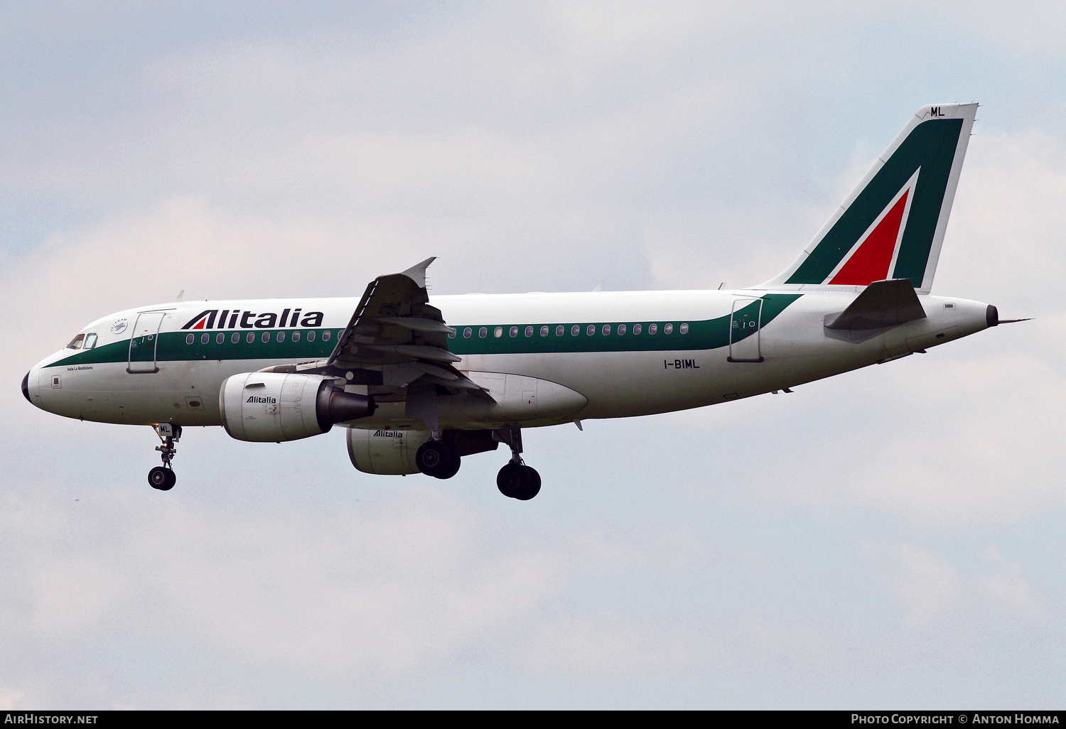 Aircraft Photo of I-BIML | Airbus A319-112 | Alitalia | AirHistory.net #246489