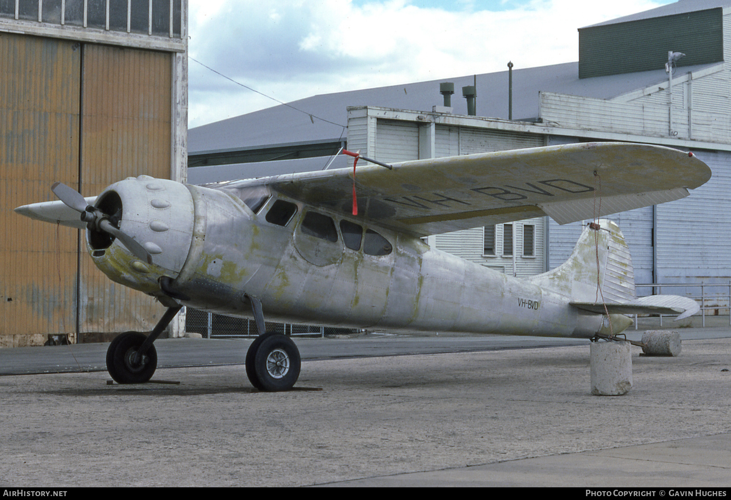 Aircraft Photo of VH-BVD | Cessna 195 | AirHistory.net #248976