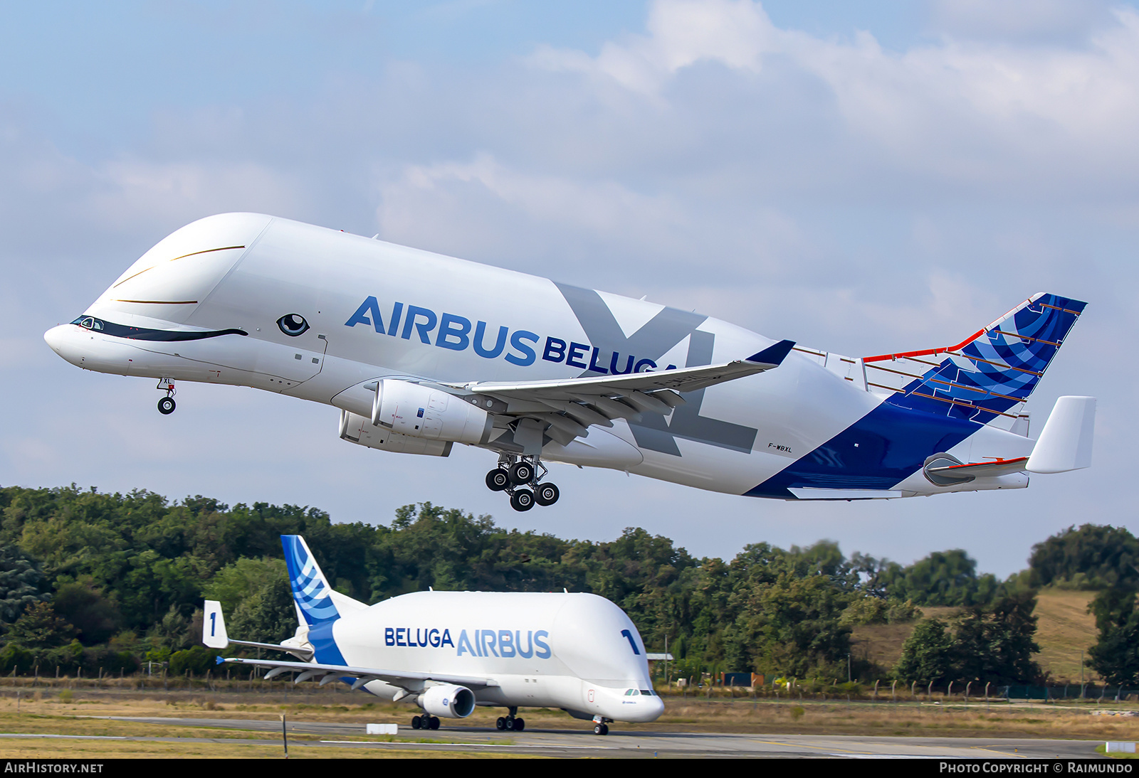 Aircraft Photo of F-WBXL | Airbus A330-743L Beluga XL | Airbus | AirHistory.net #250048