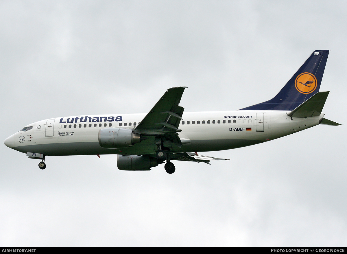 Aircraft Photo of D-ABEF | Boeing 737-330 | Lufthansa | AirHistory.net #252057