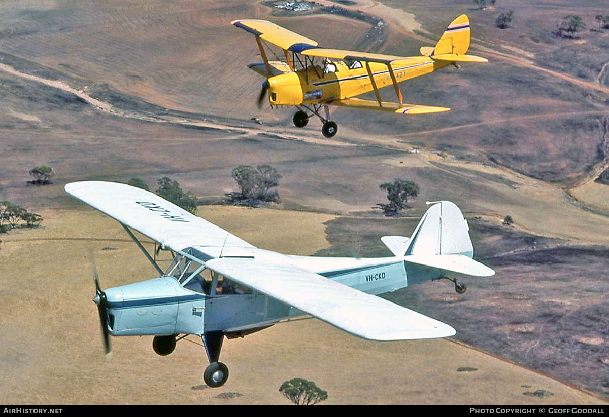 Aircraft Photo of VH-CKD | Taylorcraft J Auster Mk5D | AirHistory.net #254422
